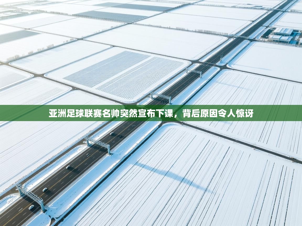 亚洲足球联赛名帅突然宣布下课，背后原因令人惊讶  第1张