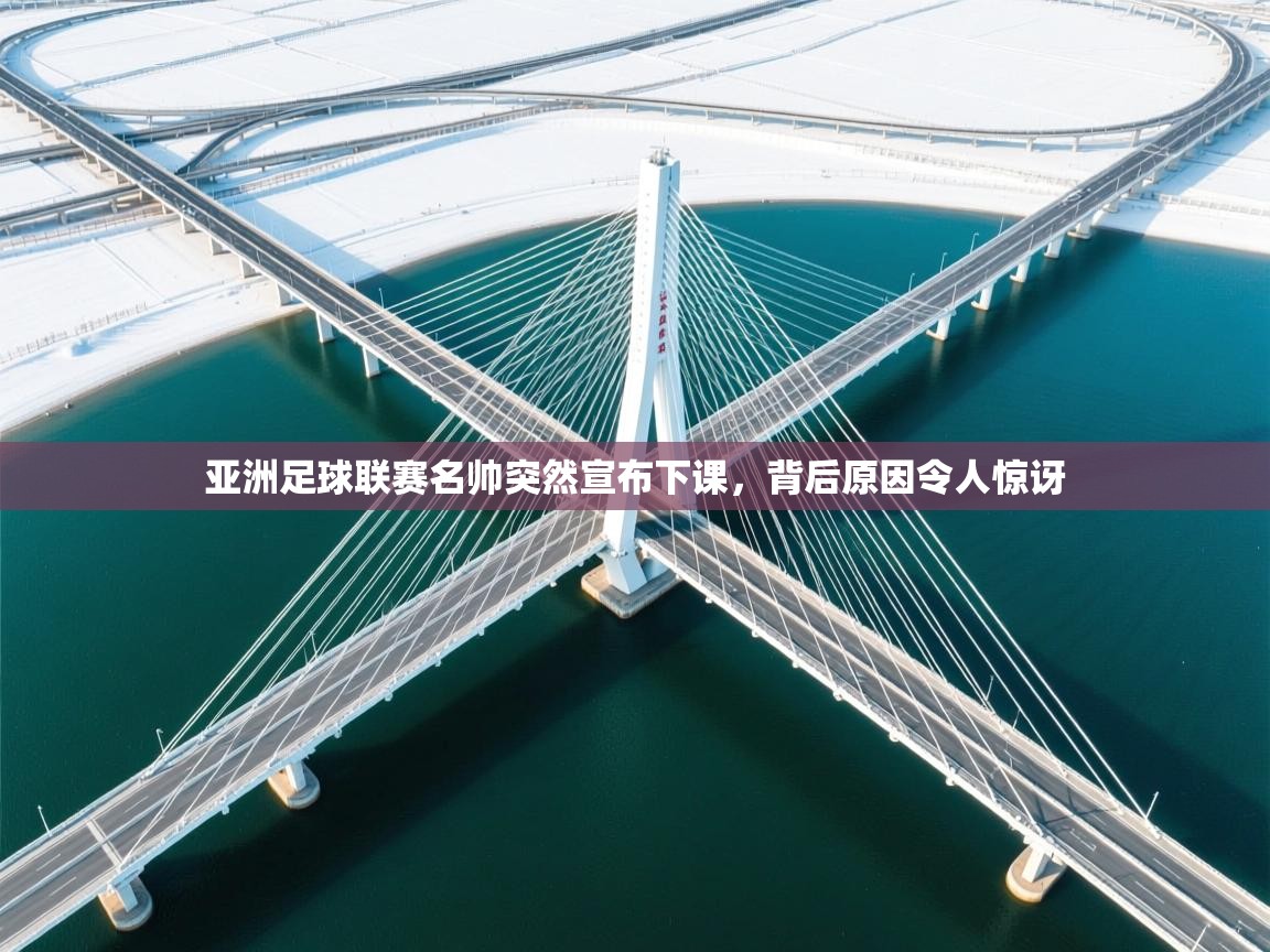 亚洲足球联赛名帅突然宣布下课，背后原因令人惊讶  第2张